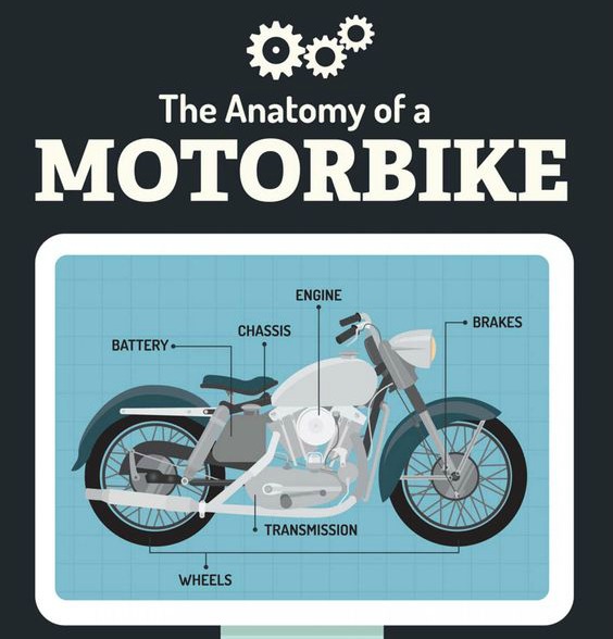 Anatomy Of A Motorbike