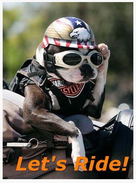 Motorcycle Helmets For Dogs Man S Best Friend