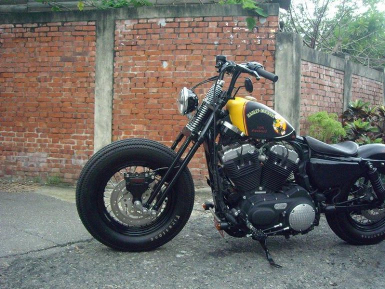 100% Skateboard Sportster built by AFS Custom Bikes of Taiwan