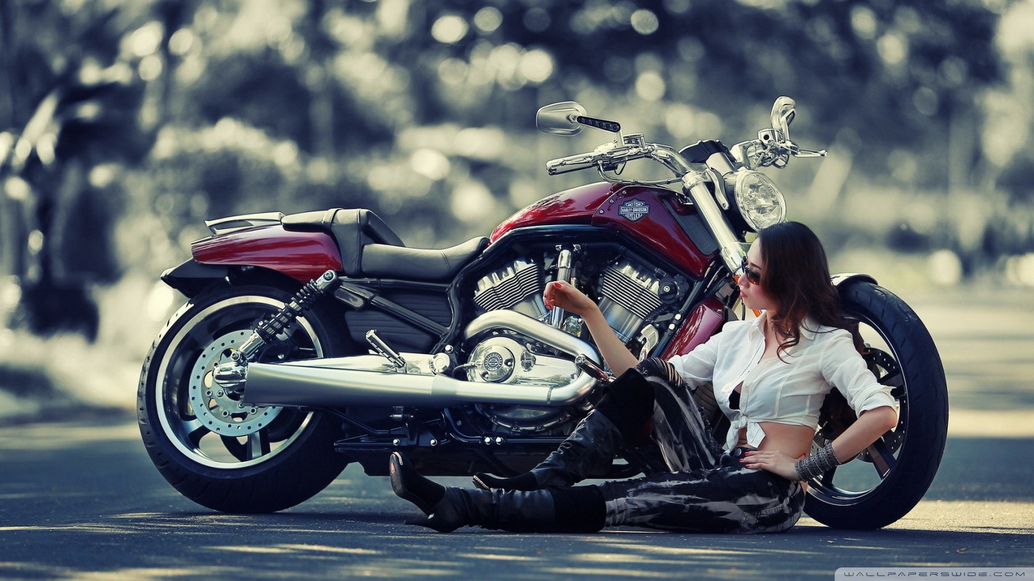 Harley Davidson Motorcycle Wallpapers
