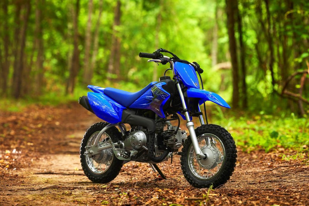 2022 Yamaha TT-R50E