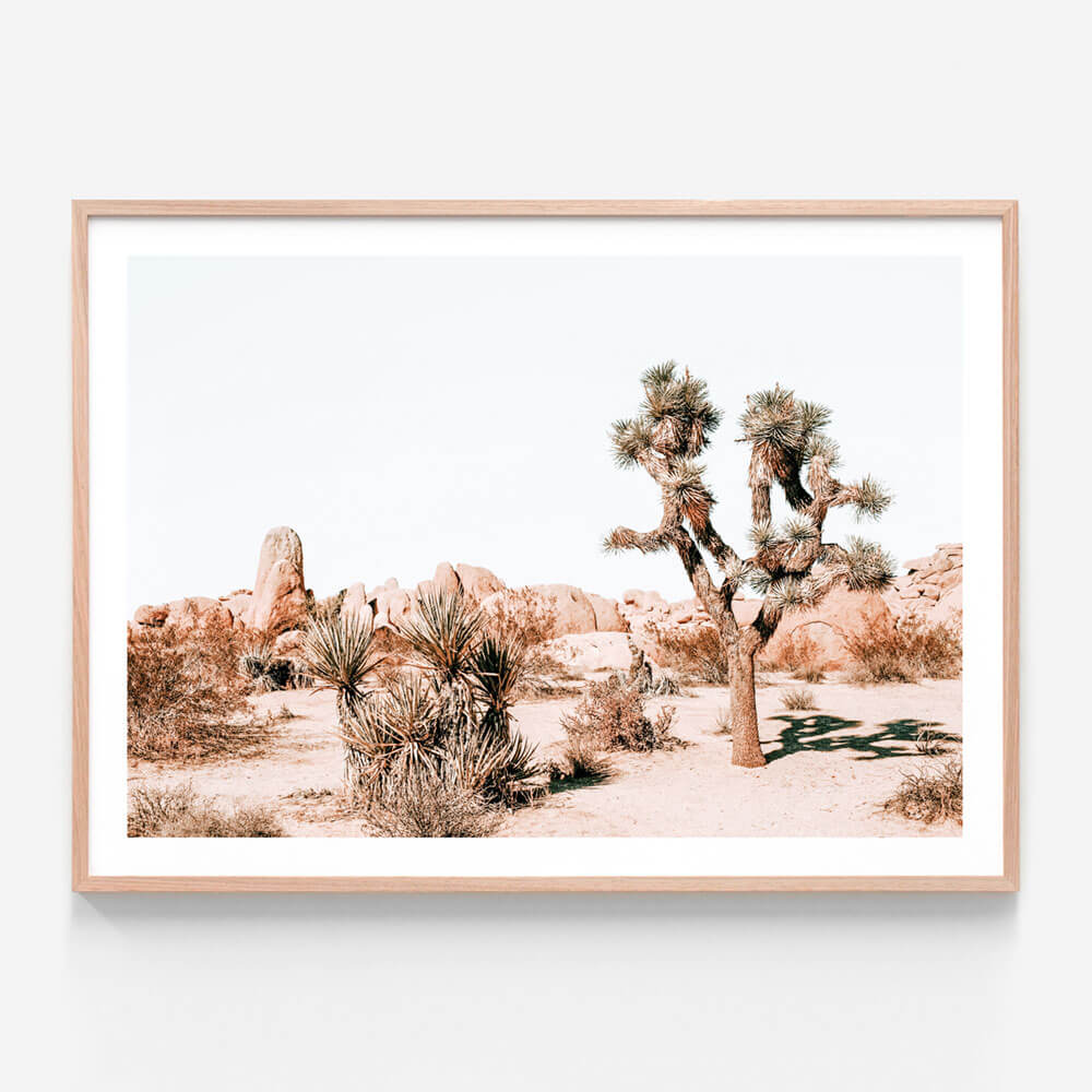 Framed art photo of a desert hanging on a wall