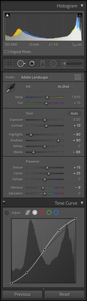 Diagram of settings for photo in Adobe Lightroom Classic