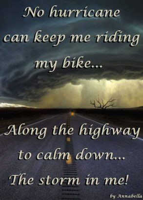 Biker Quotes - Top 100 BEST Biker Quotes and Sayin's
