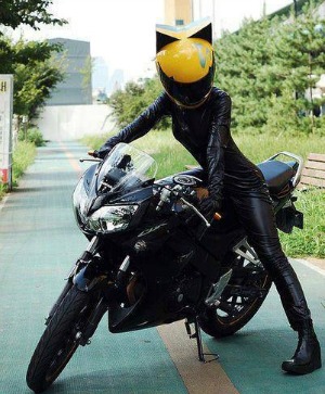  Cat  Ear Motorcycle  Helmets 